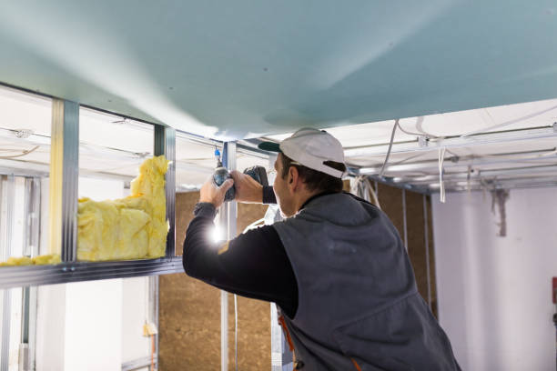 Best Insulation Contractors for Homes  in Tidmore Bend, AL